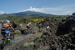 Etna: Halvdagsutflykt med mountainbike på Etna