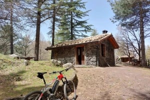 Etna: Halvdagsutflykt med mountainbike på Etna