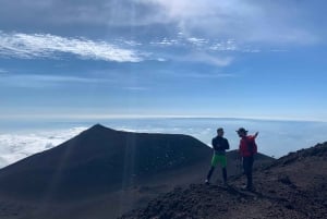 Etna: vandretur til en fantastisk udsigtspunkt over Valle del Bove