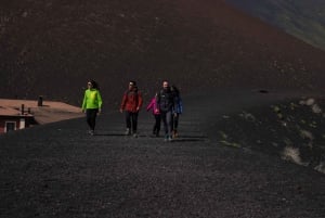 Etna: vandretur til en fantastisk udsigtspunkt over Valle del Bove