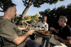 L'Etna dans un verre : dégustation de vins artisanaux au pied du volcan