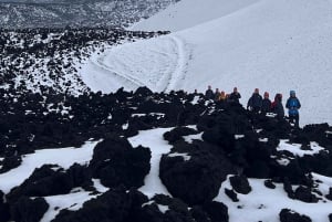 Monte Etna com recolha e entrega em Catânia: 3000 metros com teleférico e jipe