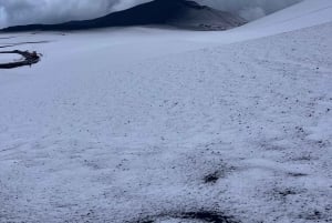Monte Etna com recolha e entrega em Catânia: 3000 metros com teleférico e jipe