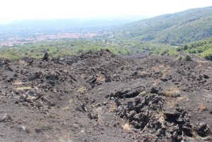 Etna Jeep Tour: fra Catania, Zafferana Etnea, Taormina
