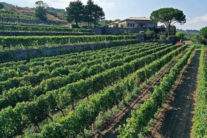 Etna Nord: Trekking privado e prova de vinhos com almoço ligeiro