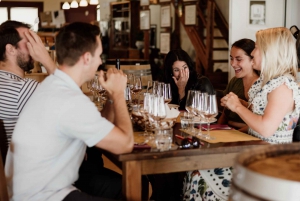 Etna Nord: Trekking privado e prova de vinhos com almoço ligeiro