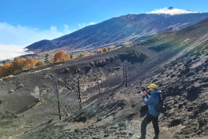 Etna Norte: Zona de la cumbre y Cráteres de 2002