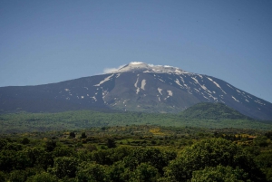 Mount Etna: North Upper Craters Guided Tour by 4x4 with Trek