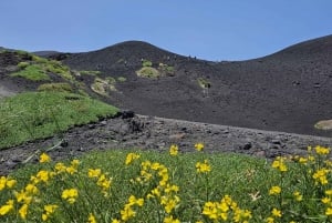 Mount Etna: North Upper Craters Guided Tour by 4x4 with Trek