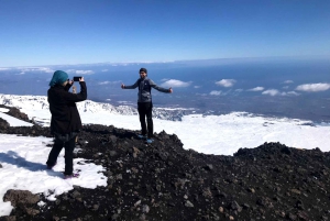 Etna: Privat 4WD-morgentur til Europas største vulkan