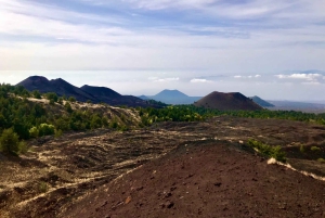 Etna: Privat 4WD-morgentur til Europas største vulkan