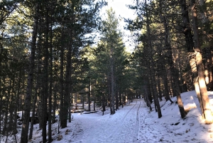 Etna: Privat 4WD-morgentur til Europas største vulkan