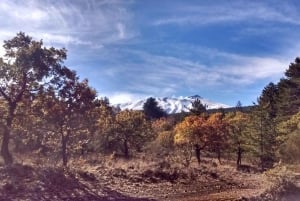 Etna day trip - Private tours