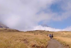 Etna day trip - Private tours