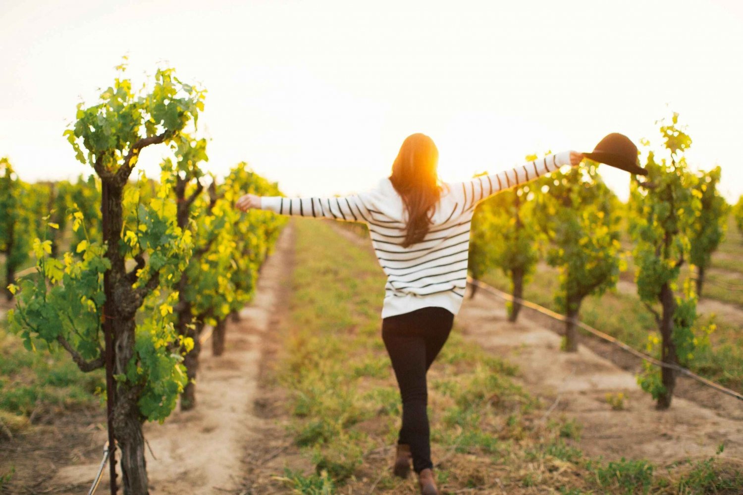 Etna Quad & Wine Combo Private Tour