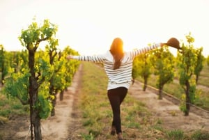 Etna Quad & Wine Combo Visite privée