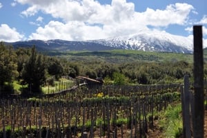 Etna Quad & Wine Combo Visite privée