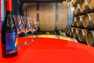 Etna Quad & Wine Combo Visite privée