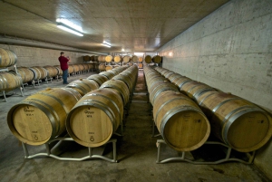 Etna Quad & Wine Combo Visite privée