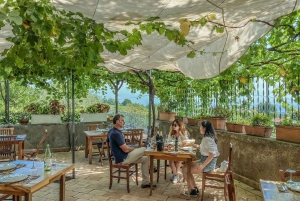 Etna Quad & Wine Combo Visite privée