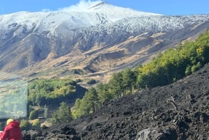 Etna: Summit Area Guided Hike from Cable Car Station