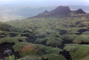 Etna: excursão ao pôr do sol no vulcão