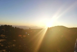 Excursion à l'Etna au coucher du soleil : randonnée, grotte et dégustation