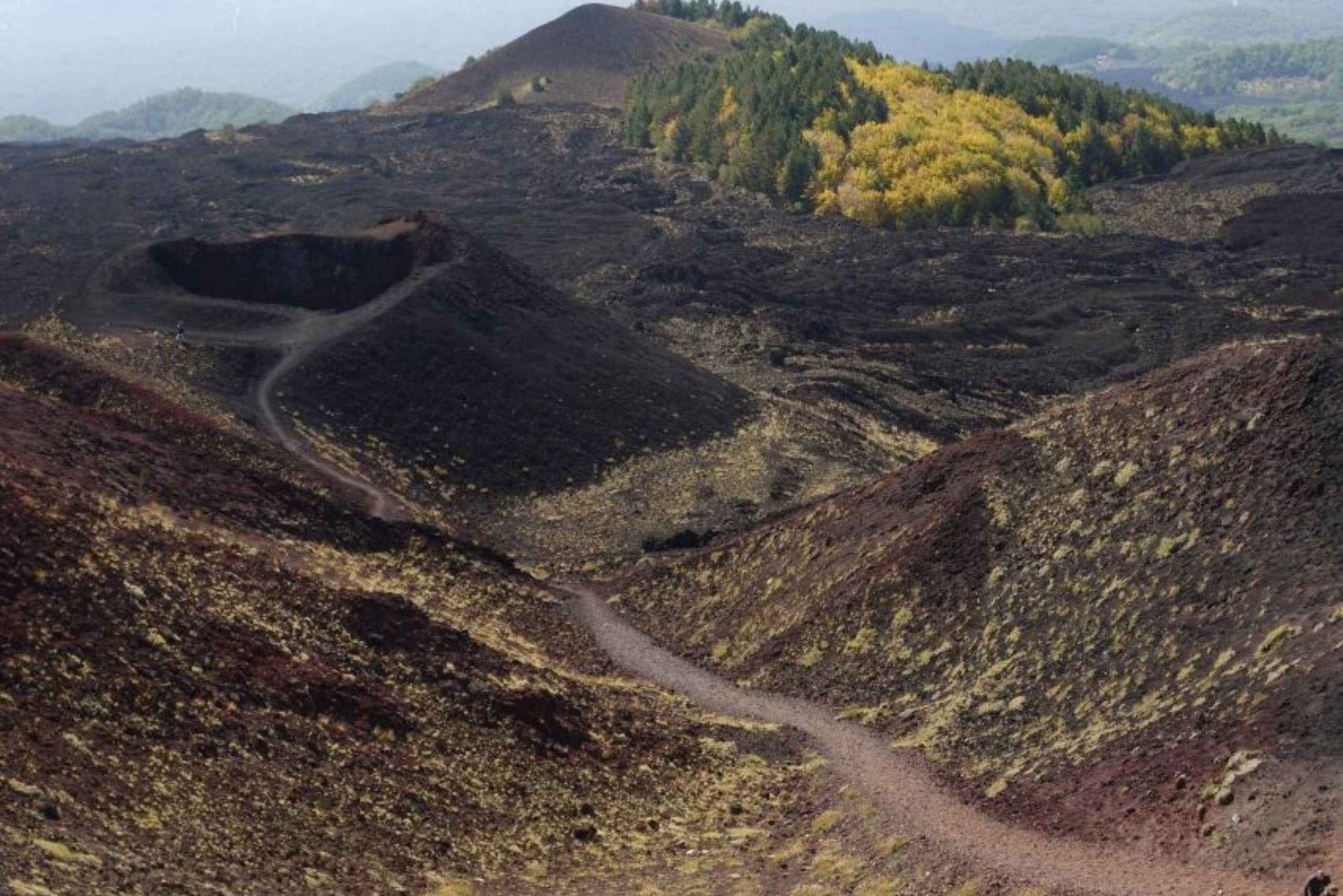 パノラマバスで行くエトナ山ツアー
