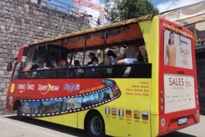 Etna-tur med panoramabus