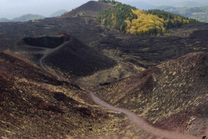 パノラマバスで行くエトナ山ツアー