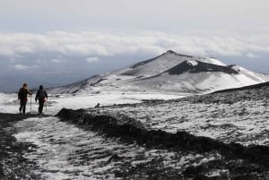 Etna trekking på 3000 meter med linbana, guide och taxitjänst som kan bokas