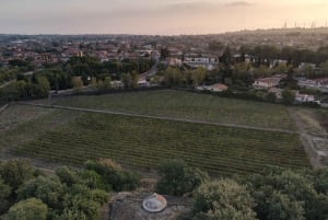 Etna Urban Winery - Déjeuner sicilien avec dégustation de vins