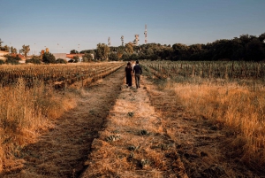 Etna Urban Winery - Vineyard walk and Tasting experience