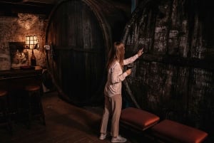 Etna : Urban Winery, promenade dans les vignobles et dégustation de vin au coucher du soleil