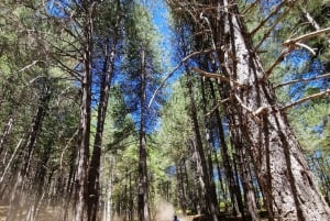 Etna volcano: Etna grand tour by quad bike with cave and lava flow visit