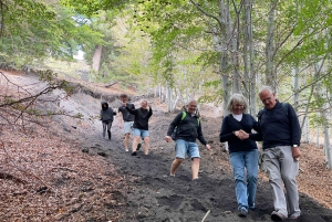 ETNA VOLCANO: Excursion to the Craters of 2002