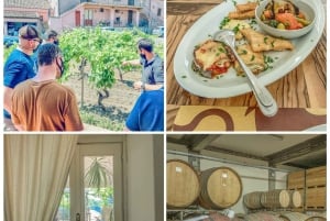 Etna & Wine Private Day Tour