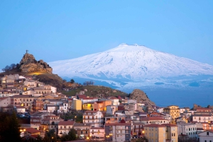 Etna & Wine Private Day Tour