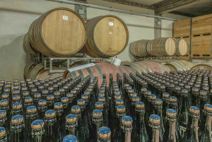 Etna & Wine Private Day Tour