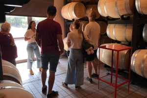 Tour privato dell'Etna e del vino