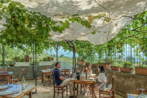 Tour privato dell'Etna e del vino