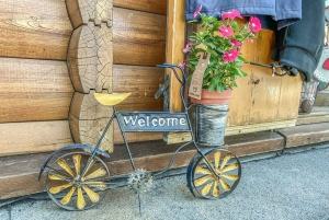 Tour privato dell'Etna e del vino