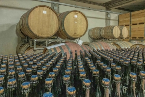 Tour privato dell'Etna e del vino