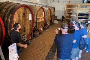 Tour privato dell'Etna e del vino