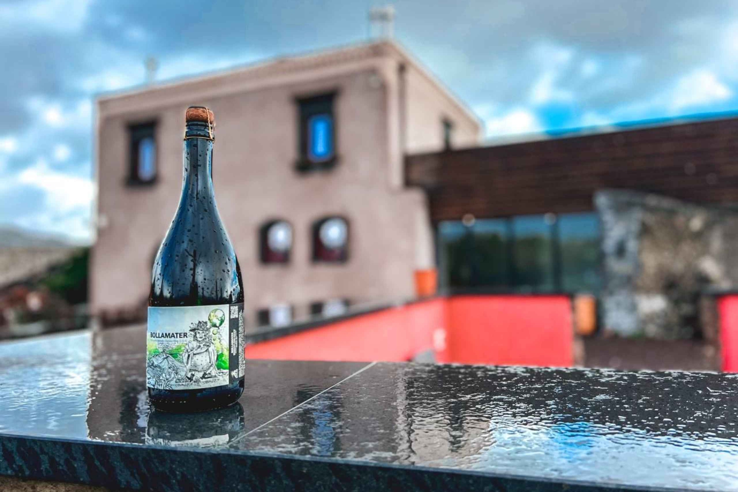 Etna : Dégustation de vin et visite culinaire