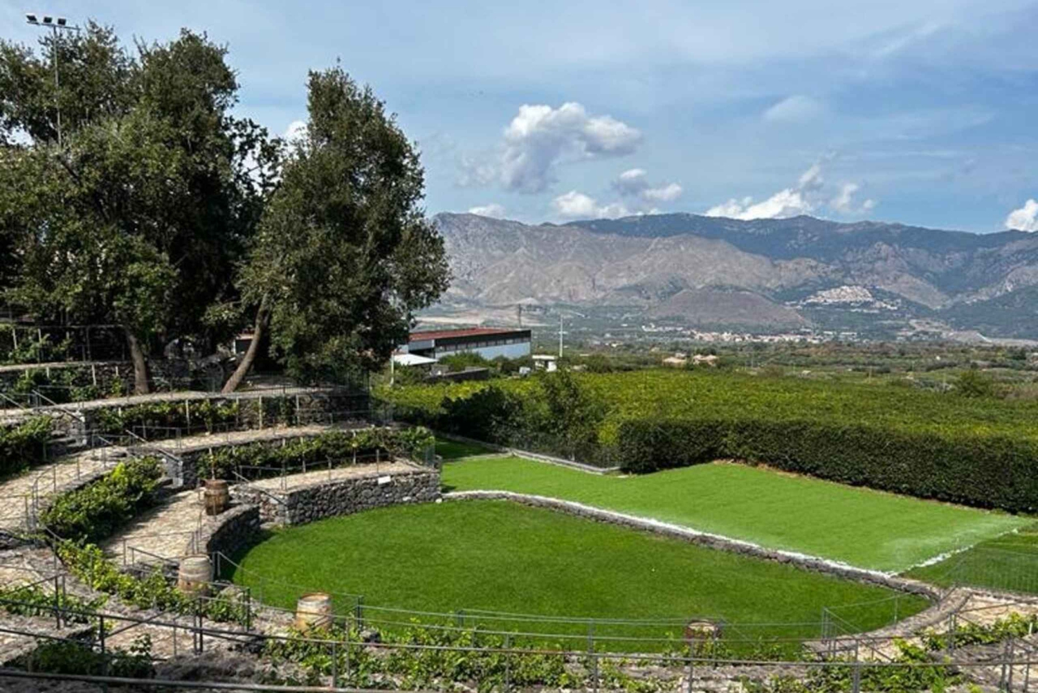 Etna : Dégustation de vin et visite culinaire