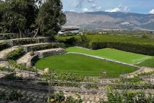 Etna: Vinsmaking og matutflukt