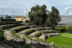 Etna: Degustazione di vino e tour gastronomico