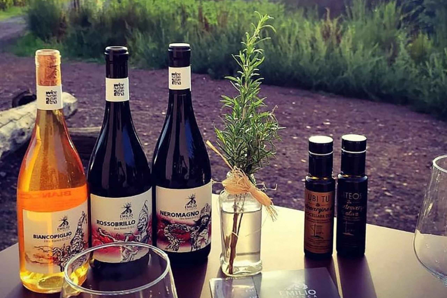 Etna's Fine Wines: Smaking og vingårdstur