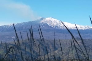 Etna exclusivo